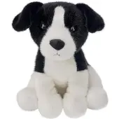 Beppe Border Collie, 25 cm