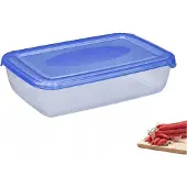 PLAST TEAM Vertriebs GmbH plast team 16720805 plast team Boîte de congélation Polar, 1,9 litre, bleu, rectangulaire