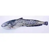Gaby The Catfish Giant Pillow Pillow Bleu