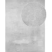 Tapis.nl Tapis Calissa argent 200 cm carré