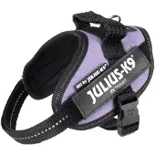 JULIUS K-9 Idc Power Mini Dog Harness Violet Mini-Mini