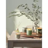 Illume Bougie de déclaration Hinoki Sage verte