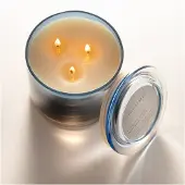 Illume Bougie parfumée Citrus Crush bleu