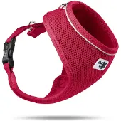 Curli Basic Collare Air-Mesh Rosso XS