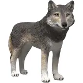Schleich GmbH Loup américain Autres