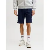 Jack & Jones Pantalon cargo 'JPSTGordon Alliance' bleu marine / blanc