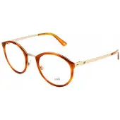 Web Lunettes de Vue WE5193 48/22/140 Gold Metal MAN WE5193