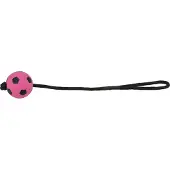 Trixie Sportball am Seil (Jouet de balle pour chiens)