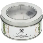 Green tree BOUGIE VITALITY GINGEMBRE DOUX ?IL DE TIGRE