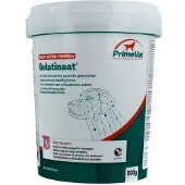 Primeval Gelatinaat 500 g Poudre