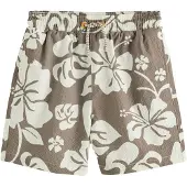 Next Shorts de bain beige / blanc