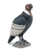 Papo Condor
