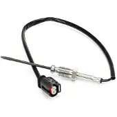 Delphi TS30368-12B1 Capteur de température des gaz d'échappement pour BMW Série 5 Break (F11) 310 mm