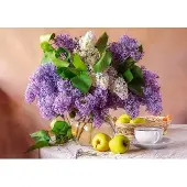 Castorland Puzzle lilas Nature morte - Puzzle de 500 pièces