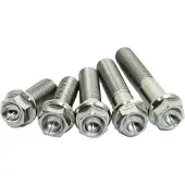 Scar Stimeng250sx Engine Screw Kit Argenté