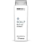Framesi Morphosis Scalp Destress Shampoo 250ml