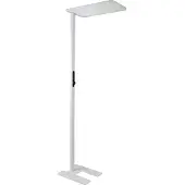 Enovalite Lampadaire de bureau LED à réglage en hauteur avec capteur