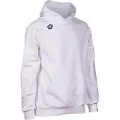 Arena Sweatshirt à capuche Team Panel