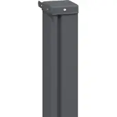 vidaXL Store enrouleur latéral, extensible, 100 x 300 cm