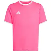 Adidas T-Shirt fonctionnel 'Entrada26' rose