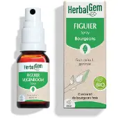 Herbalgem - Figuier Bio - Complément Alimentaire - Extrait De Bourgeon Frais - Pour Digestion - - 15 ml 15 ml Spray