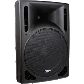 Sonstige Studios IPS-15 enceinte passive 15 pouces intérieur & extérieur
