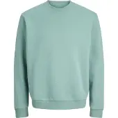 Jack & Jones Bradley Plus Size Sweatshirt Vert 8XL / Regular Homme