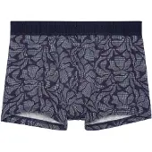 Hom Boxer HO1