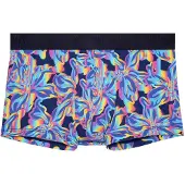 Hom Boxer court