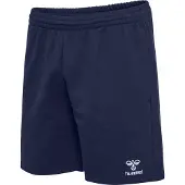 Hummel Pantalon de sport 'GO 2.0' marine / blanc