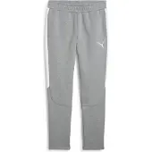 Puma Pantalon de sport 'teamEvostripe' gris / blanc