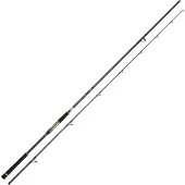 Daiwa Canne Shore Jigging Crosscast