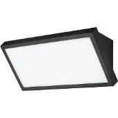 Rabalux Noir Luminaire à LED Rapla2 18W IP65 CCT 77150