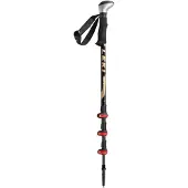 LEKI 170 cm