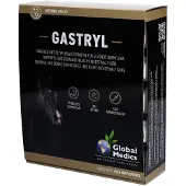 Global Medics Gastryl 10x60 g Sachet(S)