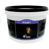 Global Medics Vital +PDR 1 kg Poudre