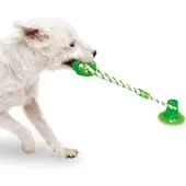 Duvo+ Ventouse Zerri - Jouet d'occupation pour chiens de petite et moyenne taille