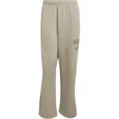 Adidas Pantalon de sport 'COLLEGIATE' gris clair