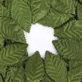 OEM Feuilles décoratives vertes, 100 pièces