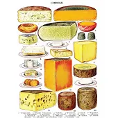 New York Puzzle Company - Puzzle « Fromage » XXL - 500 pièces