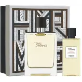 Hermès Paris Hermes Terre Edt Spray 100 Ml Set