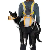 Ruffwear Backtrak Evacuation Kit Orange L