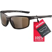 Alpina Lunettes de soleil Defey Tin Matt-Black/CM Brown