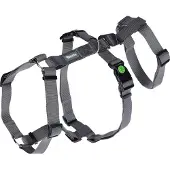 Kerbl Panikgeschirr Miami (Grau, Halsumfang 38 - 52 cm, Brustumfang 55 – 74 cm)