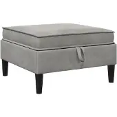 vidaXL Pouf de canapé avec rangement, velours gris clair