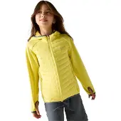 Regatta - Veste matelassée « Andreson » pour enfants, Hybrid RG12823 (116) (jaune canari)