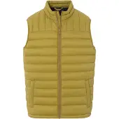 Thomas Goodwin Gilet jaune