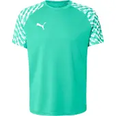 Puma T-shirt TeamLIGA26 65972105