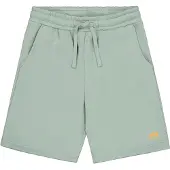 Alpha industries Basic Sl Ii Sweat Shorts Vert M Homme