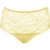 SugarShape String citron